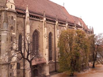 Die Linden am Kirchhof, 2018. Foto: Richard Sterner