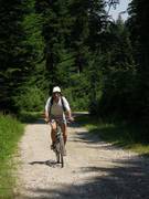 Im Wald